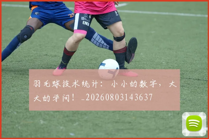羽毛球技术统计：小小的数字，大大的学问！_20260803143637