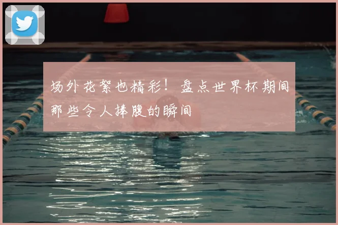 场外花絮也精彩！盘点世界杯期间那些令人捧腹的瞬间