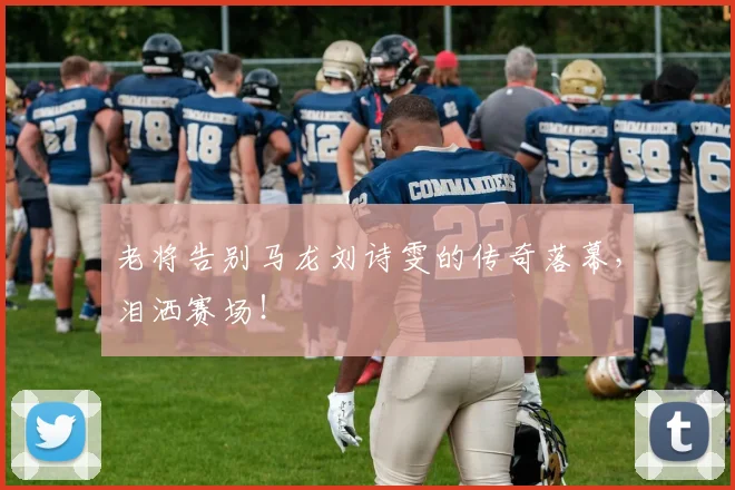老将告别马龙刘诗雯的传奇落幕，泪洒赛场！