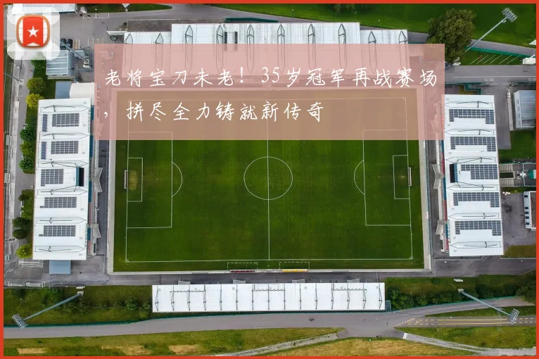 老将宝刀未老!35岁冠军再战赛场,拼尽全力铸就新传奇